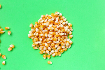 Yellow raw unpopped popcorn kernels
