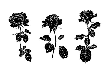 Set of stamps, silhouettes of rose flowers. Simple botanical elements. Vector graphics.