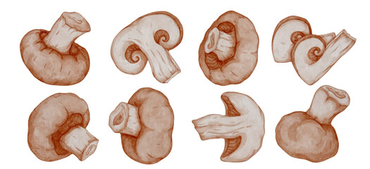 Set of champignon mushrooms and pieces of vegetables. Vector graphics.