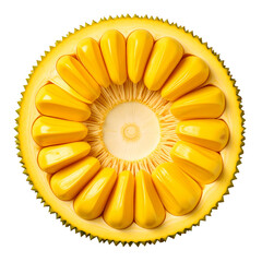 Ripe jackfruit showing its yellow bulbs and fibrous core in close-up