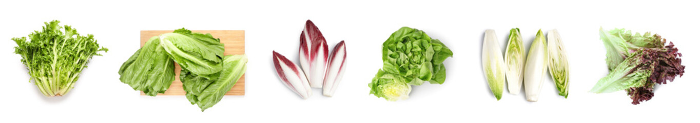 Many different types of lettuce on white background