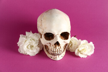 Human skull with beautiful eustoma flowers on purple background