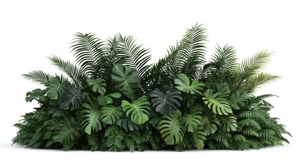 Lush tropical plants cluster (3)