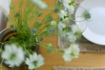 a bouquet of daisies in a glass vase stands on a table on a white background, a wine glass, table setting, plates, defocus, macrophotography, bokeh