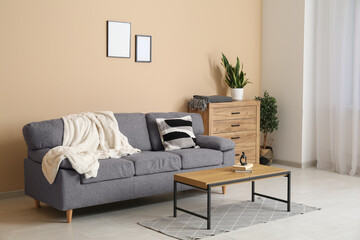 Comfortable sofa, chest of drawers and coffee table in interior of living room