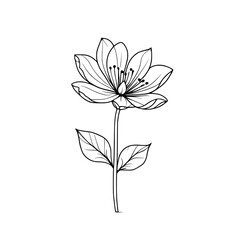 Flower handdrawn icon with black lines