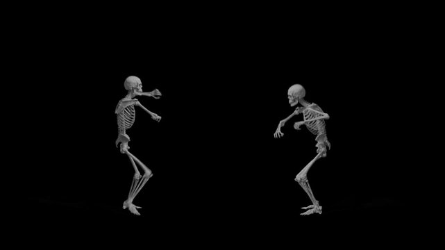 Two dancing skeletons animation