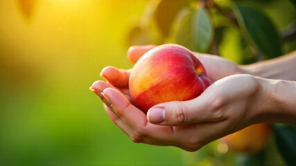 Concept of healthy eating with a fresh, ripe apple held in hands. The background features a blurred green garden with warm sunlight. copy space