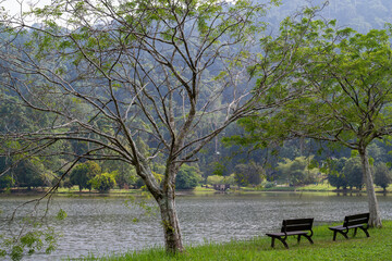Two empty wooden benches sit peacefully beneath trees overlooking a calm lake, surrounded by forested hills. 