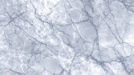 Obraz premium High-Resolution Marble Texture Elegant Gray Veining Background