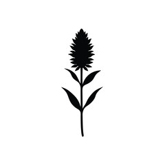 Liatris Flower Vector Silhouette Art