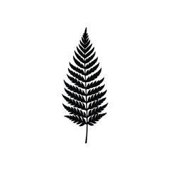 Fototapeta premium Fern Leaf Vector Art Illustration