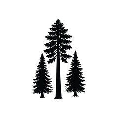 Redwood Tree Fog Vector Black and White