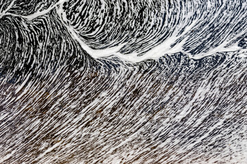 Froth pattern formed on surface of a running stream