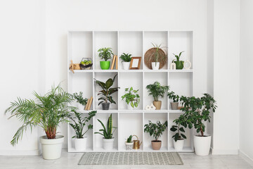 Shelving unit with houseplants near white wall in interior of room