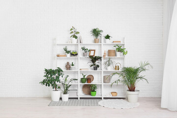 Shelving units with books, vases and houseplants near white wall in interior of room