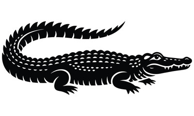 vector illustration of a alligator 