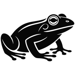 frog vector illustration