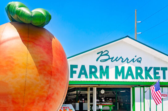 Giant peach at Burris Farm Market in Loxley Alabama