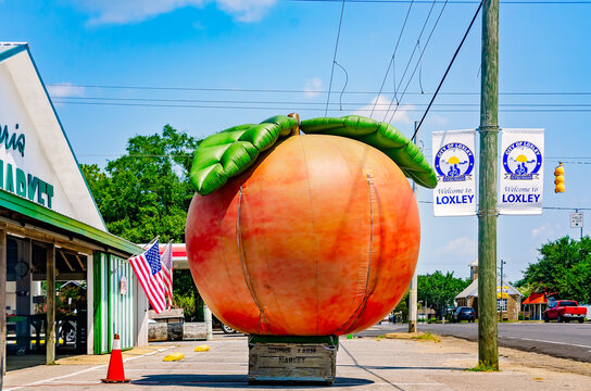 Giant peach at Burris Farm Market in Loxley Alabama