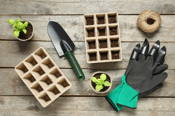 Composition with potted basil and different gardening supplies on wooden background