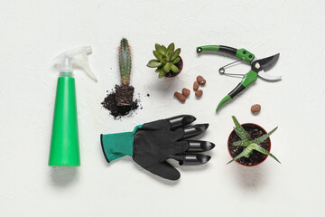Composition with succulents and gardening supplies on light background