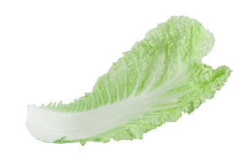 Leaf of fresh Chinese cabbage isolated on white