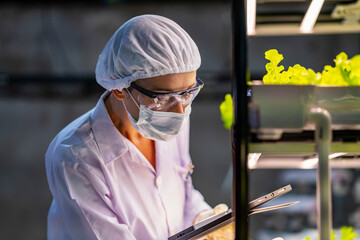 A scientist in a mask, goggles, and hairnet closely examines green plants in a lab setting. The...