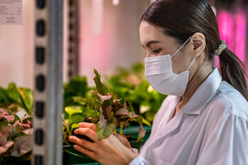 A scientist in a mask, goggles, and hairnet closely examines green plants in a lab setting. The...