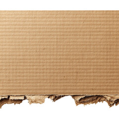 Close up of torn corrugated cardboard showing the texture and layers against a white background