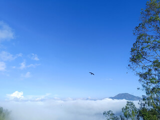 View of Mount Batur, Bangli, Bali with a blue sky decorated with white clouds and a swallow in flight.