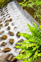 Long-exposure capture of rocks in a rushing stream, highlighting the silky flow of water...