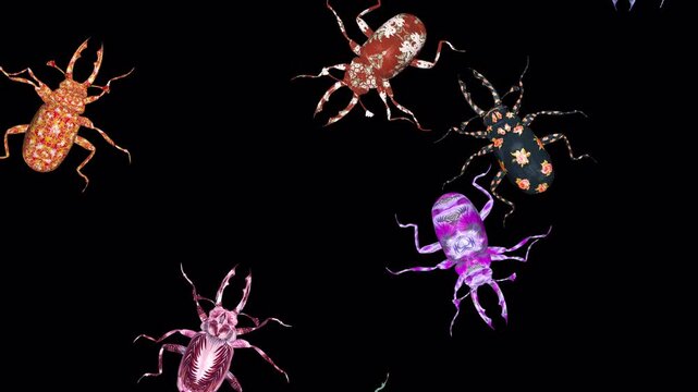 Artistic Stag Beetles - Swarm of  7 Bugs - Randomly Crossing Screen Loop - Top View MS - Alpha Channel - Realistic 3D animation isolated on transparent background with alpha channel