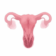 
alternative digital image of the uterus 90