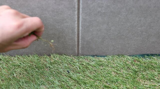 人工芝・防草シートの隙間から生えた雑草