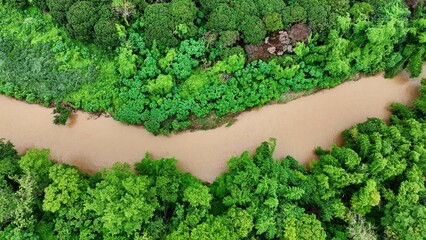 Drone captures sediment-rich floodwaters meandering through dense green forests, highlighting the...