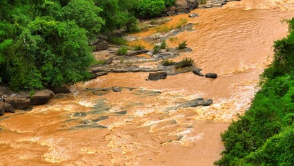 Aerial perspective reveals sediment-rich floodwaters flowing rapidly alongside dense greenery,...