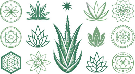 Various green plant symbols and designs, featuring vibrant aloe and floral motifs.