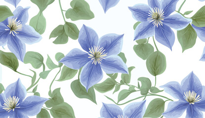 Vibrant blue clematis flowers with lush green leaves on a soft white background.