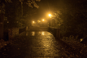 Park Zamkowy w Pszczynie nocą podczas jesieni © © Jakacki