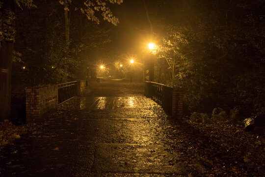 Park Zamkowy w Pszczynie nocą podczas jesieni