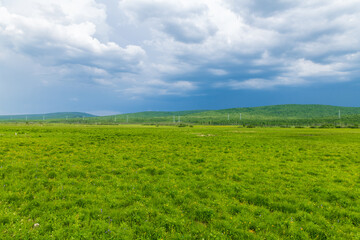 The scenery of Horonor Grassland in Hulunbuir City, Inner Mongolia Autonomous Region, China