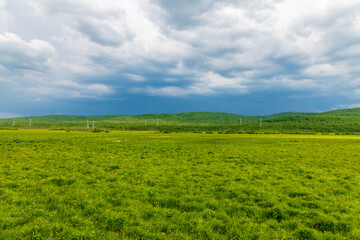 The scenery of Horonor Grassland in Hulunbuir City, Inner Mongolia Autonomous Region, China