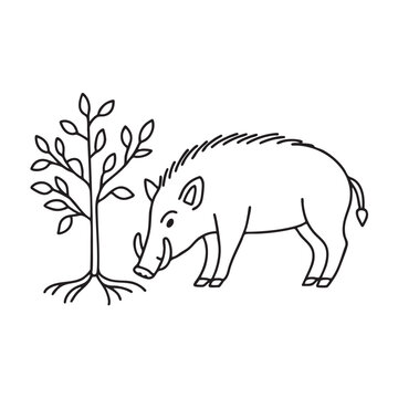 A boar sniffing the ground near tree roots with short tusks