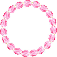 Tulip watercolor illustration isolated on white. Hand painted delicate pink flower, eco design. High quality clip art perfect for mother's day, women's day cards, posters, banners, decor and design