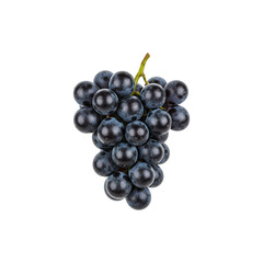 Fototapeta premium Cluster of dark purple grapes