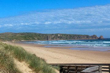 view of the beach in philip island australia