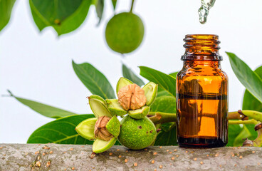 Walnut Flower Remedy Bach, Bottle amber, Pipette Dropper, Nuts, Fruti, Leaf, Trunk Tree Juglans regia, Floral de Bach, Terapia Floral, Therapy