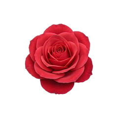 Fototapeta premium Artificial red rose with lifelike design details