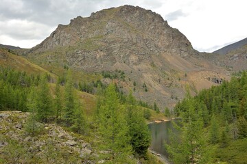View from above on the bend of a small lake in a picturesque mountain valley surrounded by a coniferous forest on a cloudy summer day.